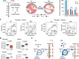 果蝇衰老过程中的代谢稳态变化（图片来源：nature communications）